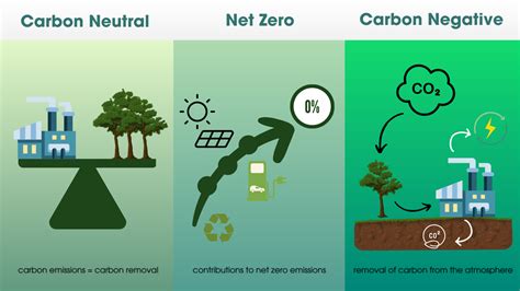 What are the differences among carbon neutral, net zero, and carbon ...