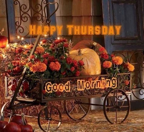 Happy Thursday Good Morning | Good morning thursday, Thursday greetings ...