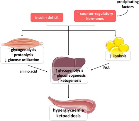 Diabetic Ketoacidosis: The ABCs of DKA — tl;dr pharmacy