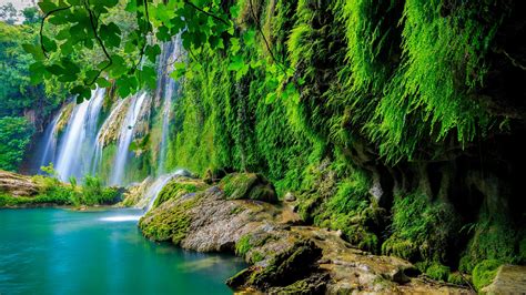 Tropical Rainforest Wallpapers - Top Free Tropical Rainforest ...