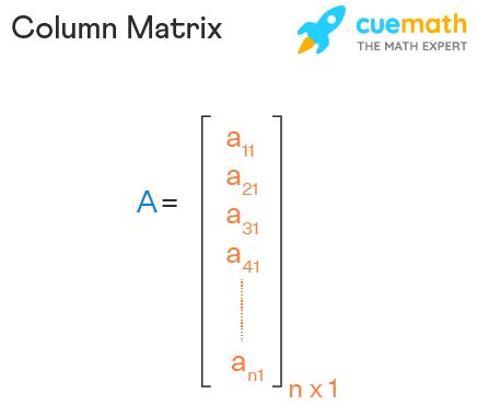 Column Matrix - Definition, Formula, Properties, Examples.