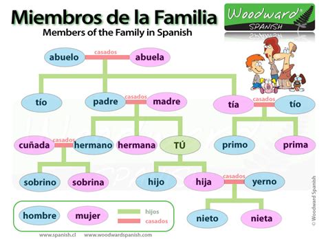 Family Tree In Spanish Template Database