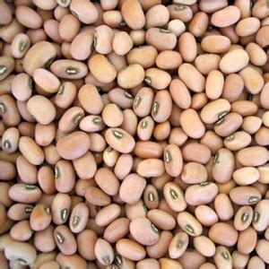 Cowpea | Only Foods