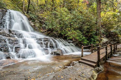 Gatlinburg Hiking Trails Bucket List - Campspot Camp Guide