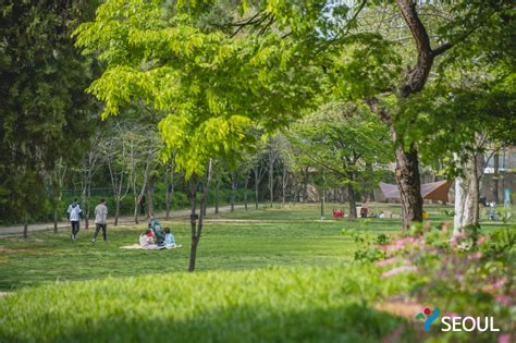 Yongsan Family Park - Seoul