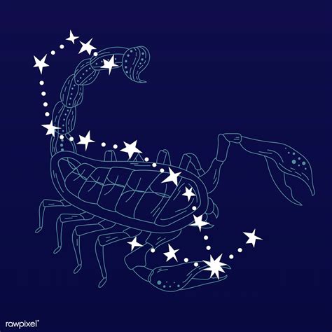 Scorpio zodiac sign | Royalty free stock illustration - 1201353