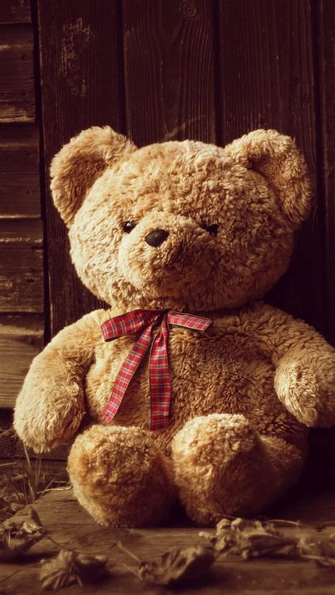 Teddy Bear Ka, Alone HD phone wallpaper | Pxfuel