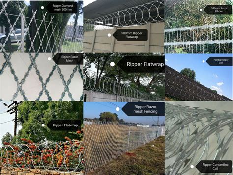 Types of Razor Wire | Wall Spikes, Ripper Razor, Ripper Diamond Mesh