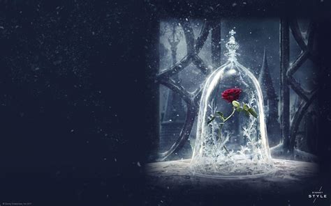 Beauty And The Beast Rose Wallpapers - Wallpaper Cave