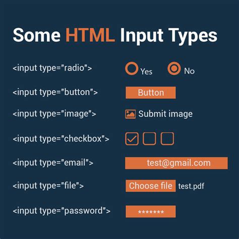 💡Some HTML "Input Types" - DEV Community