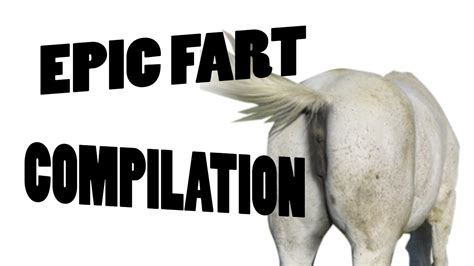 Farting Compilation – Telegraph