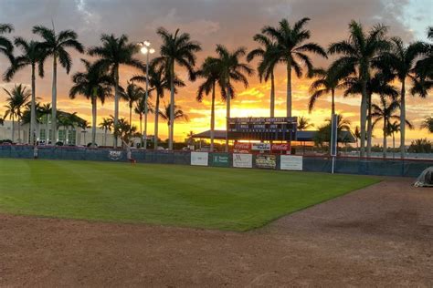 FAU | FAU to Host ‘Owls in the Outfield’ Event for Community