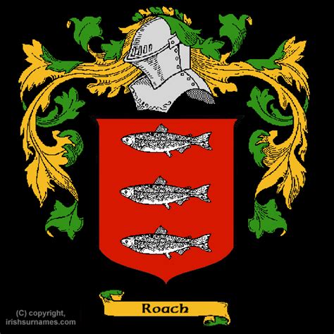 Roach Coat of Arms, Family Crest - Free Image to View - Roach Name ...