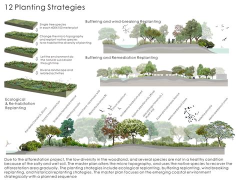 ASLA 2011 Professional Awards | An Emerging Natural Paradise — Aogu ...