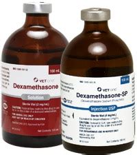 dexamethasone - David W. Ramey, DVM