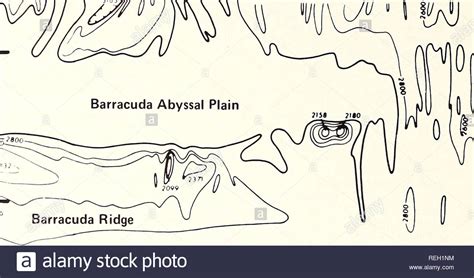 Abyssal plain hi-res stock photography and images - Alamy