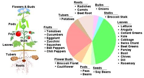 simplify sustainability | Your granny knows more about sustainability ...