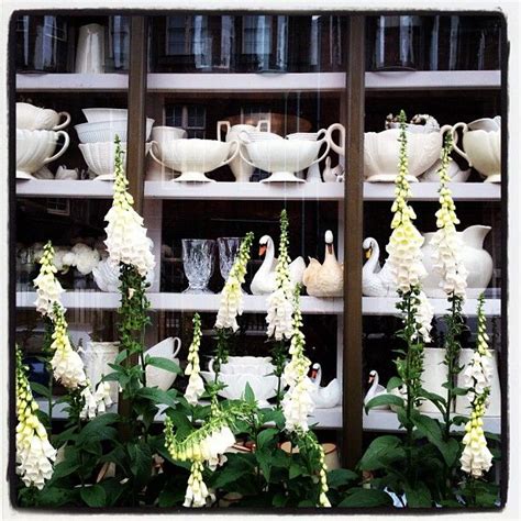 Scarlet & Violet florist in Kensal Rise, London | Vintage flower ...