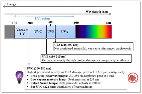 A diagram showing the ultra-violet (UV) spectrum (100-400 nm), the ...