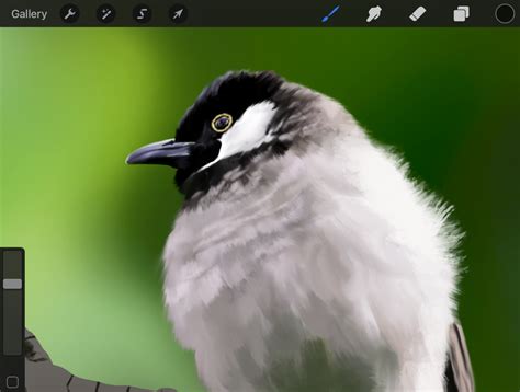 Digital Painting of A Bird by Bijo on Dribbble