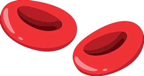 Royalty Free Blood Cells Clip Art, Vector Images & Illustrations - iStock