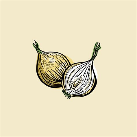 Healthy Food Illustration Series on Behance