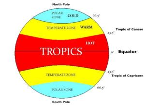 Globe Latitudes and Longitudes – Chapter 2 Class 6 NCERT Geography ...