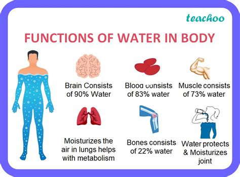 [Class 6] What are the functions of water in body? - Teachoo Science