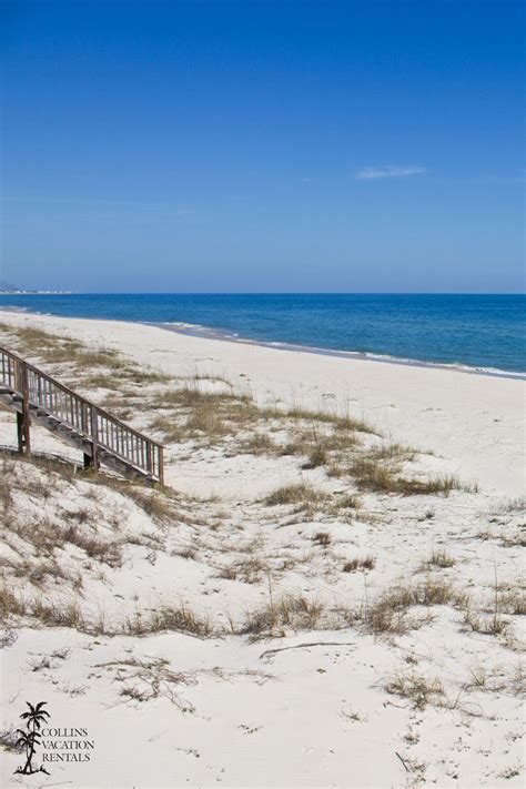 St. George Island Florida | Beach place, Island vacation, Island ...