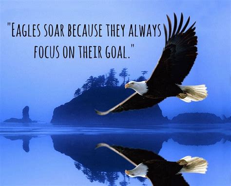 "Eagle Soar because they always focus on their goal." | Eagle images ...