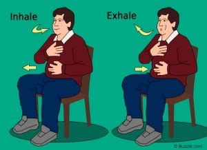 Diaphragmatic Breathing Reduces Low Back Pain - Permar Physical Therapy ...