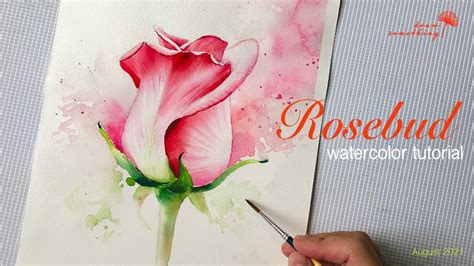 Cách vẽ hoa hồng bằng màu nước siêu đơn giản/ Watercolor rosebud ...