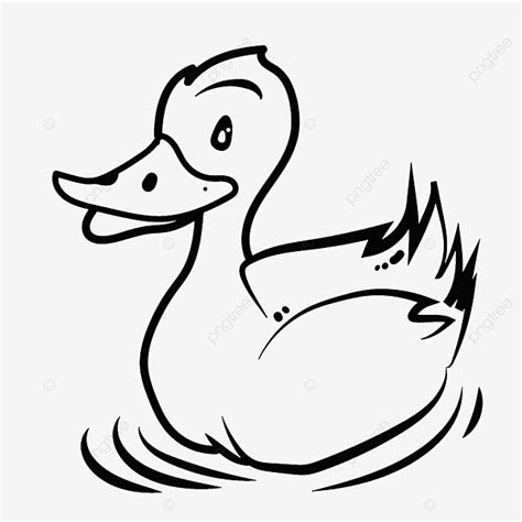 Dibujado A Mano Dibujos Animados Pato Blanco Y Negro Ai Vector PNG ...