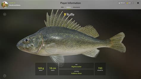 Ruffe - Fish Species - Russian Fishing 4