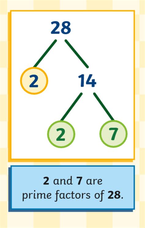 What are Factor Trees? Characteristics, Uses and Examples