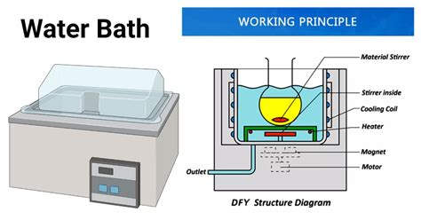 Water Bath- Definition, Principle, Parts, Types, Procedure, Uses