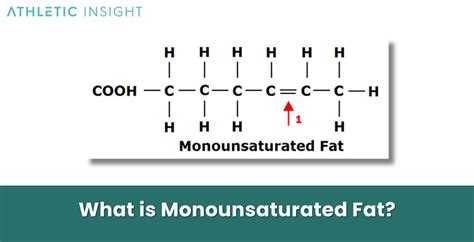 Monounsaturated Fat: Definition, Function, Sources, Benefits, and Risks ...