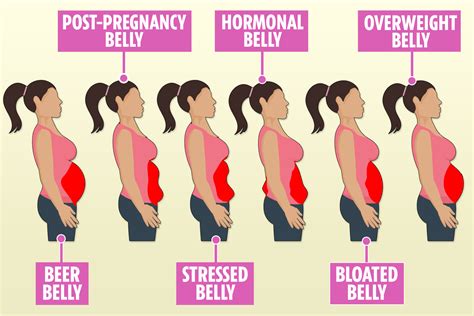 Weight loss: Booze belly to hormonal tum – how to blast your belly fat ...