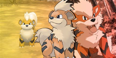 Pokémon Growlithe Evolution Guide