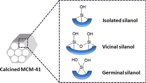 Representation of silanol groups containing in the surface of MCM-41 ...