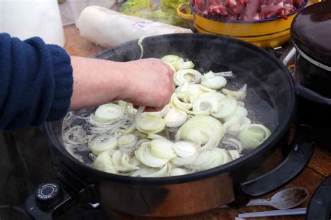 Onion crisis will last until next harvest in Slovakia - The Slovak ...