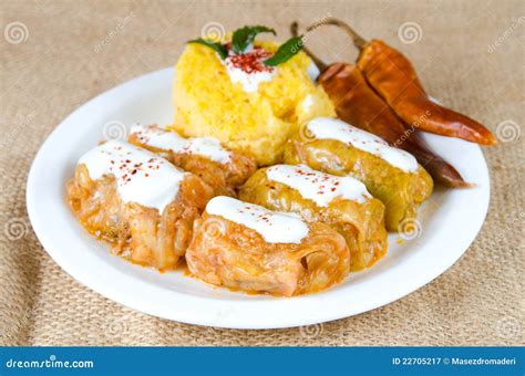 Romanian Recipe - Sarmale Stock Photography | CartoonDealer.com #22705256