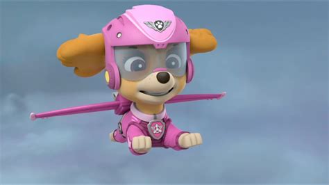 PAW Patrol Skye Gallery