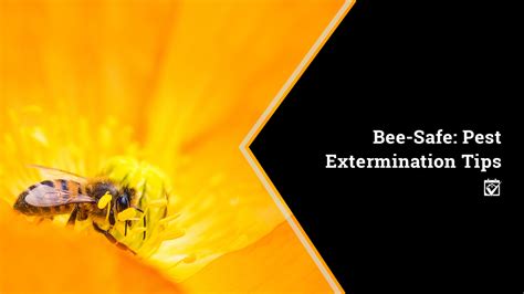 Pest Extermination Tips