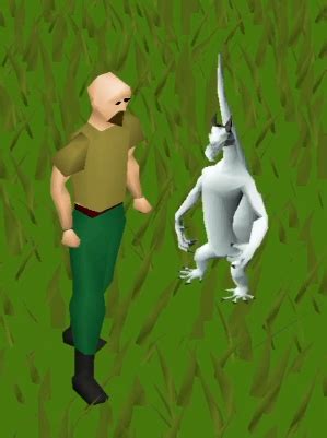 Olm pet looks like he wants to start a fight with you : r/2007scape