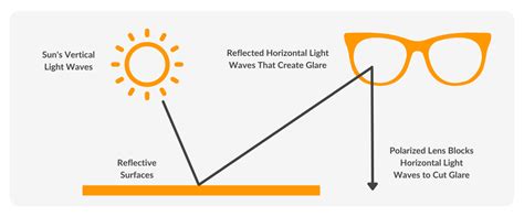 Photochromic vs. Polarised Lenses | Vision Direct AU