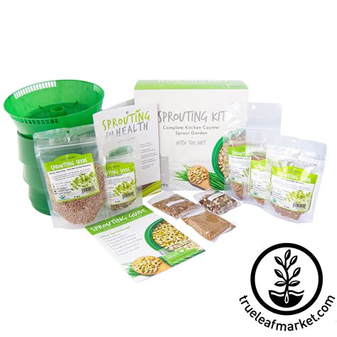 Organic Wheatgrass Growing Kit - Grow Wheat Grass