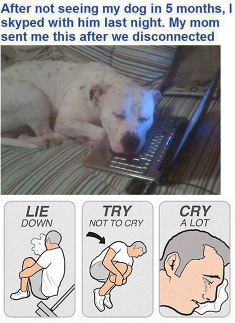 [Image - 595759] | Lie Down / Try Not To Cry / Cry A Lot | Know Your Meme