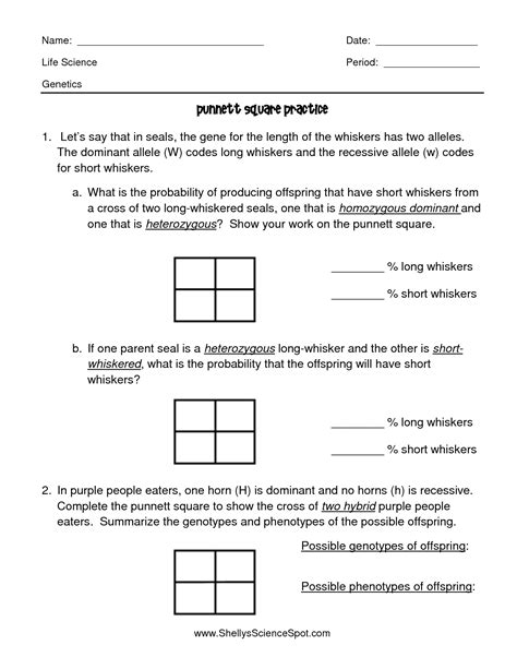 Punnett Square Practice Worksheet Answers Biology - Fabad