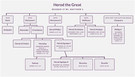 Who Was Herod? Wait… There Were How Many Herods?! - OverviewBible